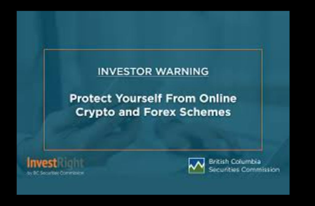 Fynor.com red flags and scam indicators