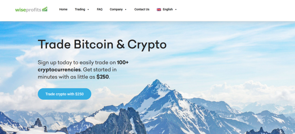 WiseProfits.com review platform overview