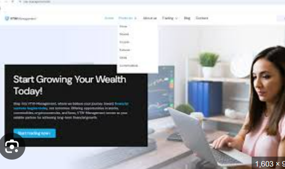 vtw-management.info homepage