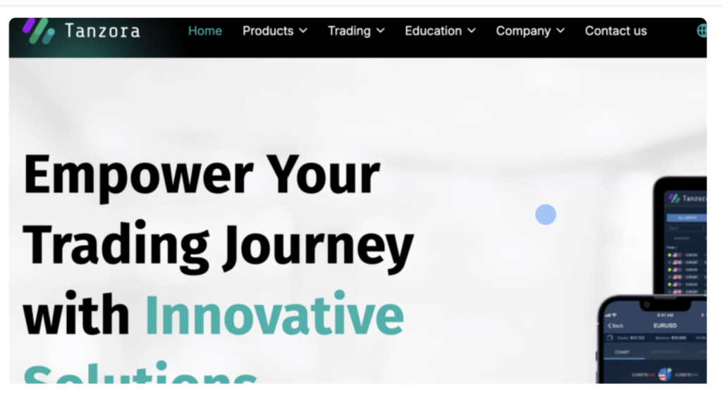 Tanzora.io overview